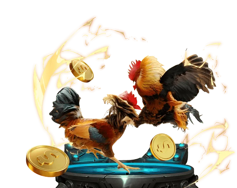 Liên hệ bộ phận hỗ trợ của K9Club